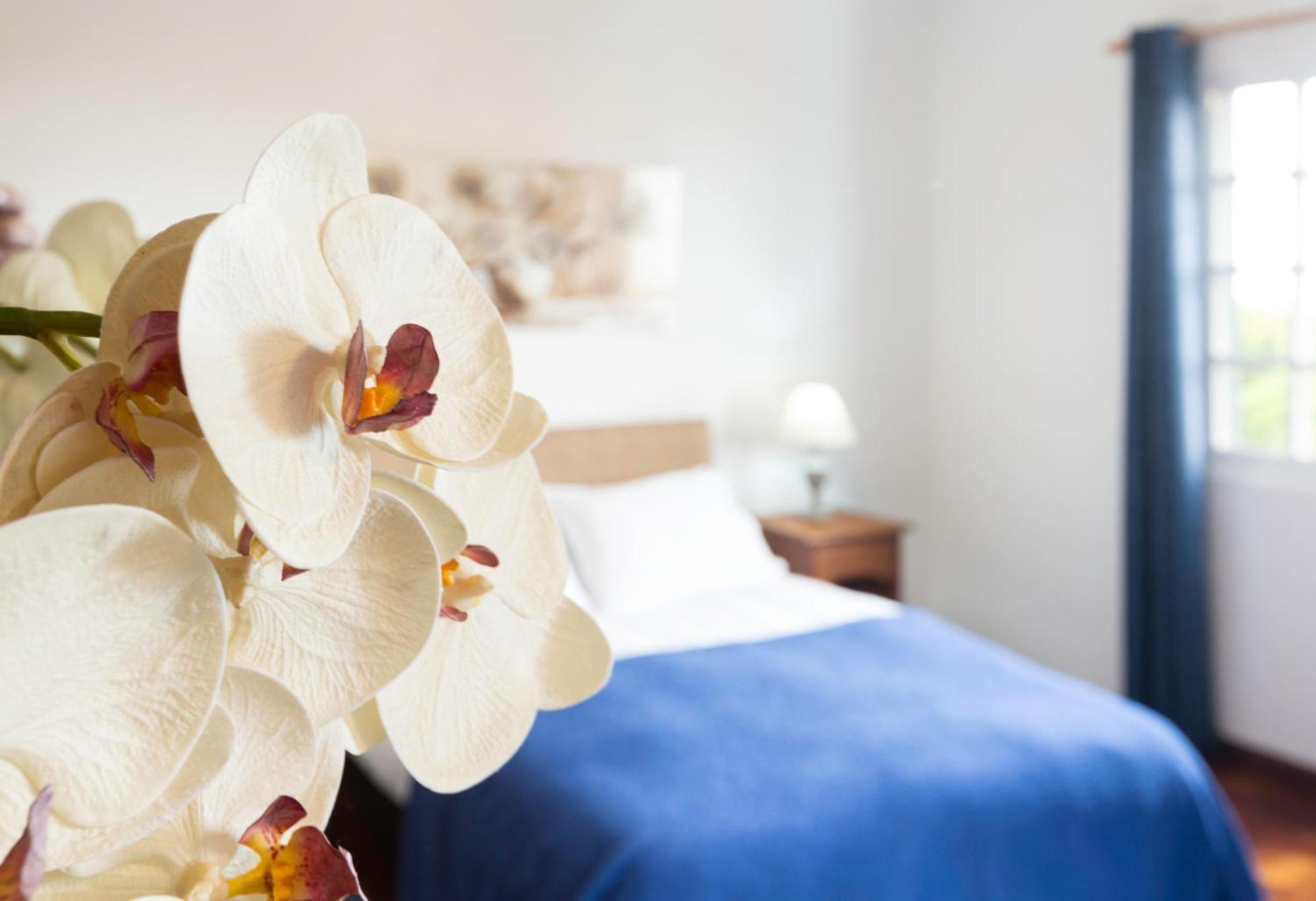 Charming Apartments In Funchal - Sao Goncalo Номер фото